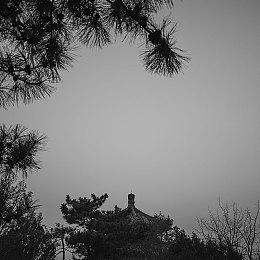 《刺客信条》《生化危机》手机移植版均以失败告终